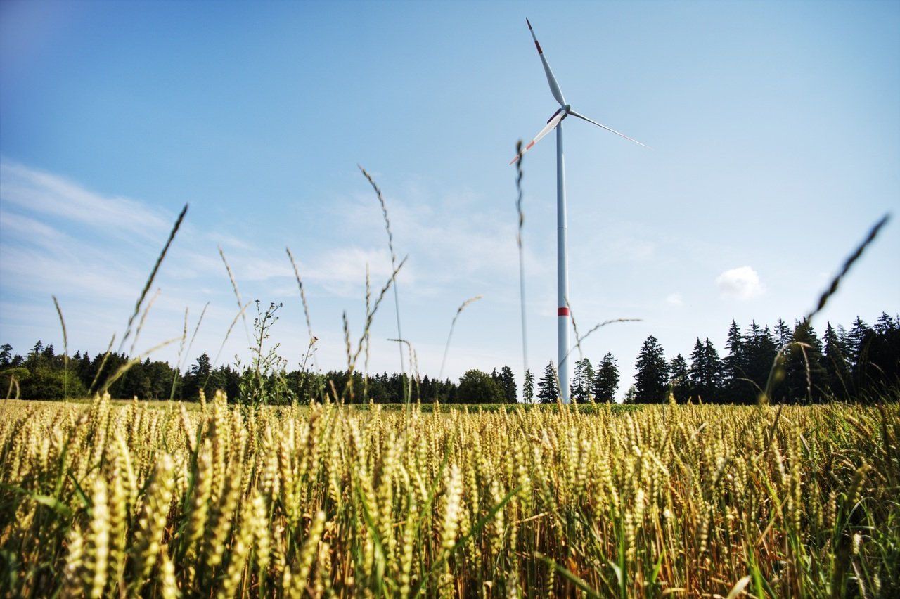 The Rise of Eco-Friendly Businesses: A Positive Impact on the Planet